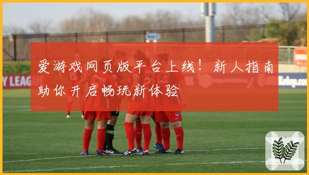爱游戏网页版平台上线！新人指南助你开启畅玩新体验
